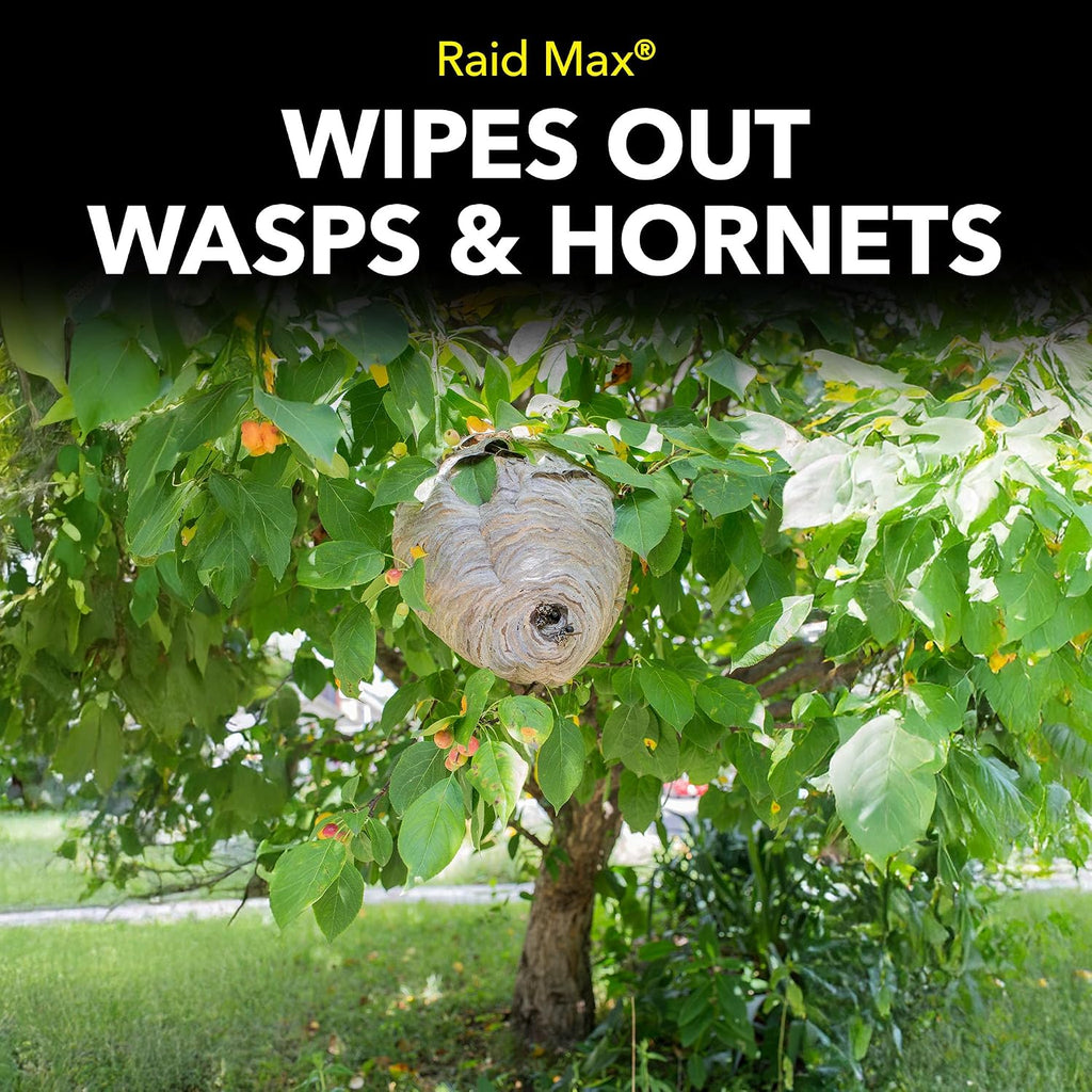Raid Max Foaming Wasp & Hornet Killer, Fast Coverage Foam, Outdoor Bug Spray, 16.5 Oz
