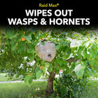 Raid Max Foaming Wasp & Hornet Killer, Fast Coverage Foam, Outdoor Bug Spray, 16.5 Oz