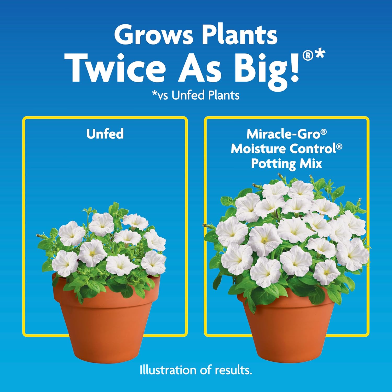 Miracle-Gro Moisture Control Potting Mix, 8 Qt. (2-Pack) | Plant Soil For Container Plants, Protects Against Over- And Under-Watering