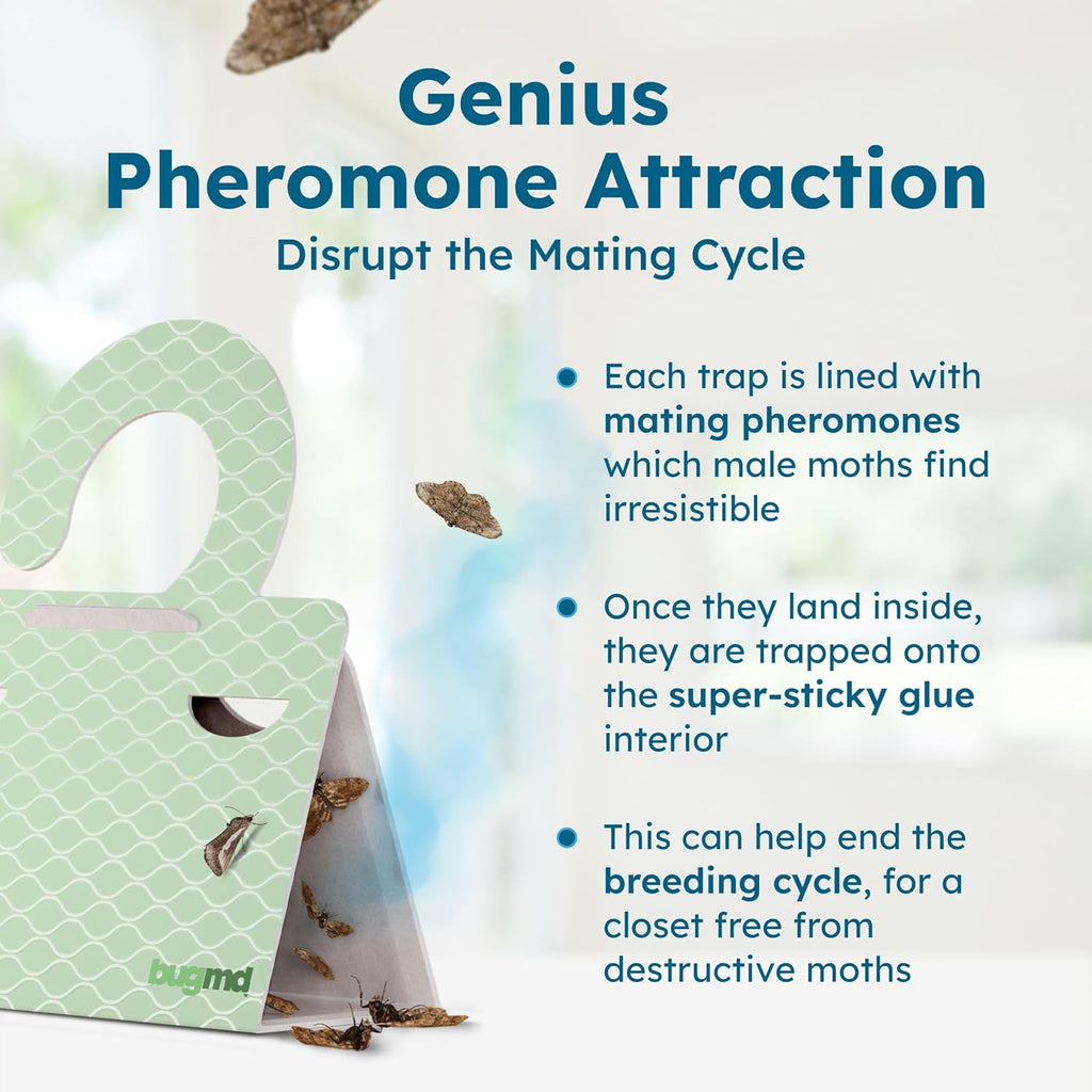 Bugmd Clothes & Pantry Moth Traps (6 Count) – Sticky Glue Pheromone-Based Repellent For Closets, Cabinets & Wardrobes – Non-Toxic - Green