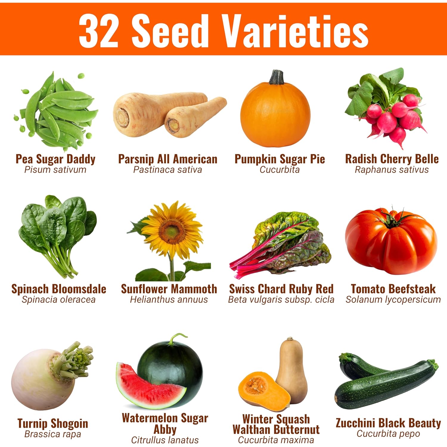 Vegetable & Fruit Seeds | 32 Individual Packs | 2026 Season | Non-Gmo, High Yield - 15,000+ Seeds | Tomato, Cucumber, Zucchini, Bell Pepper And More | For Indoor & Outdoor Garden Planting