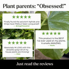 Big Leaf Energy Organic Neem Oil Spray For Plants, Indoor + Outdoor, 16Oz | Ready-To-Use Plant Wash With Essential Oils For Multi-Purpose, Advanced Protection. Made In Usa. Non-Synthetic, No Alcohols
