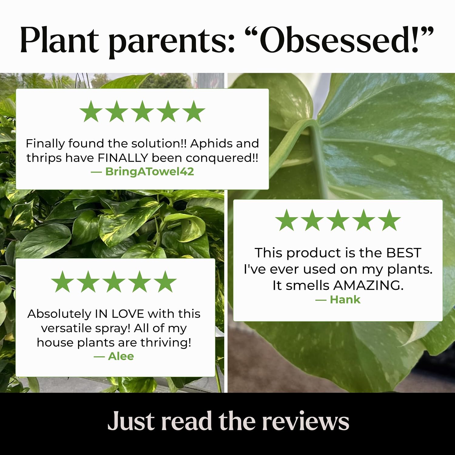 Big Leaf Energy Organic Neem Oil Spray For Plants, Indoor + Outdoor, 16Oz | Ready-To-Use Plant Wash With Essential Oils For Multi-Purpose, Advanced Protection. Made In Usa. Non-Synthetic, No Alcohols