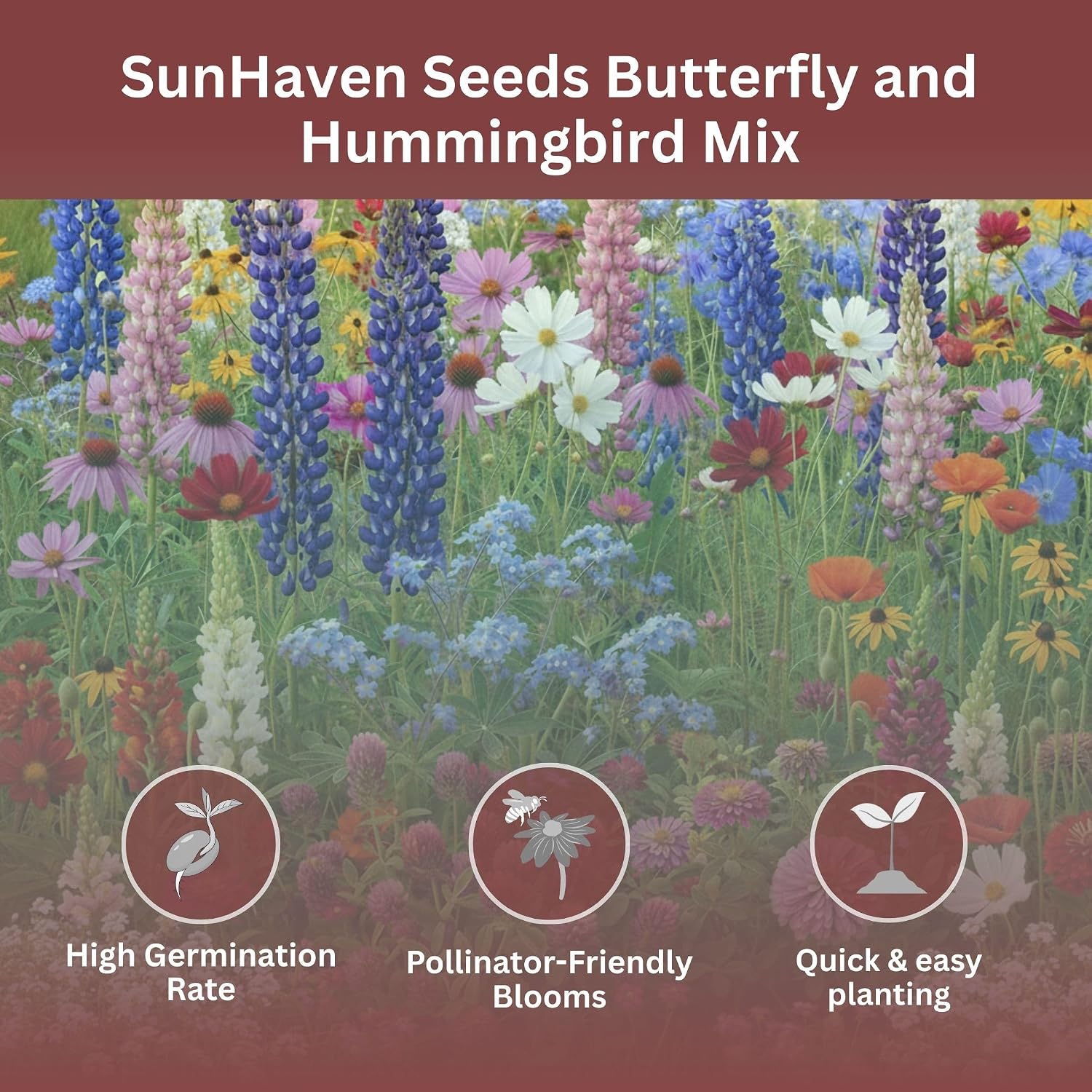 Butterfly And Hummingbird Wildflower Mix – 30,000+ Seeds – 1 Oz Bulk Extra Large Resealable Packet – Non-Gmo Open Pollinated Wildflower Seeds