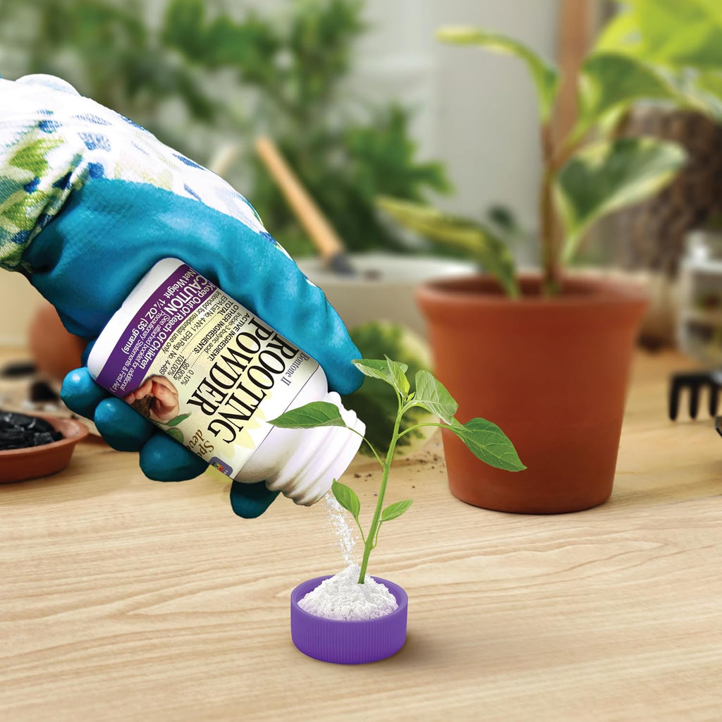Bonide Bontone Ii Rooting Powder, 1.25 Oz Ready-To-Use Dust For Houseplants And Transplants Speeds Root Development | For Houseplants And Transplants, Speeds Root Development