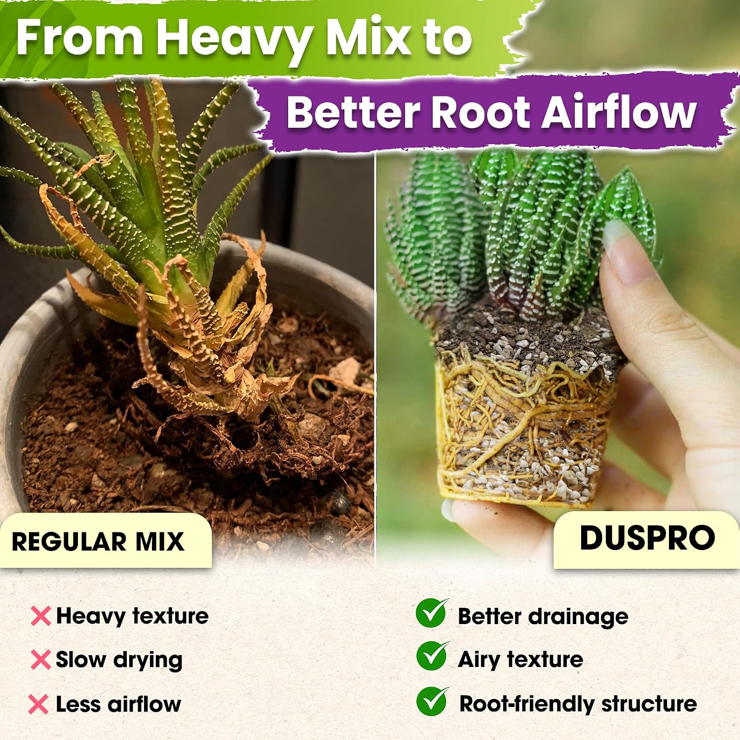Succulents Soil Potting Mix – 7 In 1 Ingredients Well-Draining, Nutrient-Rich Cactus Potting Soil For Succulents And Cacti, Indoor & Outdoor Use, Ready To Use, Supports Healthy Root Growth, 1Qt