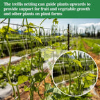 Sukh Trellis Netting For Climbing Plants - 5 X 15 Ft Garden Net, 2 Pack | Polyester Plant Netting Support For Cucumbers & Tomato, Soft & Duarable, White Garden Nets For Vines, Vegetables & Fruits