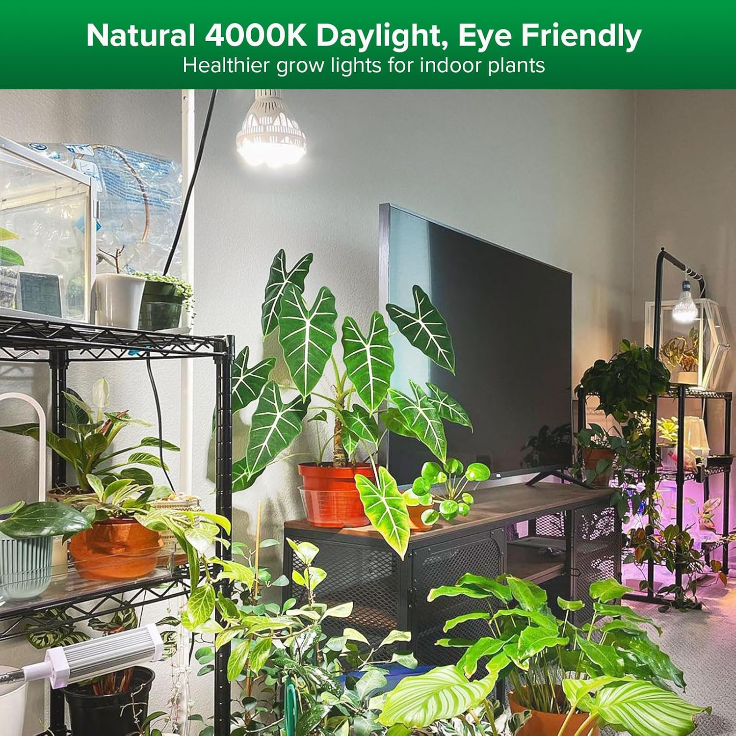 Sansi Grow Lights For Indoor Plants, 36W Plant Lights For Indoor Growing | 400 Watt Equivalent Br30 Grow Light Bulb, Ppf 65.6 Umol/S, 4000K Full Spectrum, Optical Lens For High Ppfd, Etl Listed