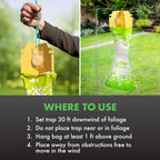 Spectracide Bag-A-Bug Japanese Beetle Trap Bundle, 1 Dual Lure System With 2 Replacement Lure Refills