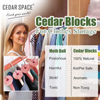 Cedar Blocks For Clothes Storage – 24 Pcs 100% Natural Cedar Rings | Wardrobe & Drawer Freshener For Closet Storage
