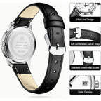 LN LENQIN Ladies Watches Analog Quartz Watch for Women Waterproof Women's Wrist Watches Easy Reader Womens Watch with Leather Strap
