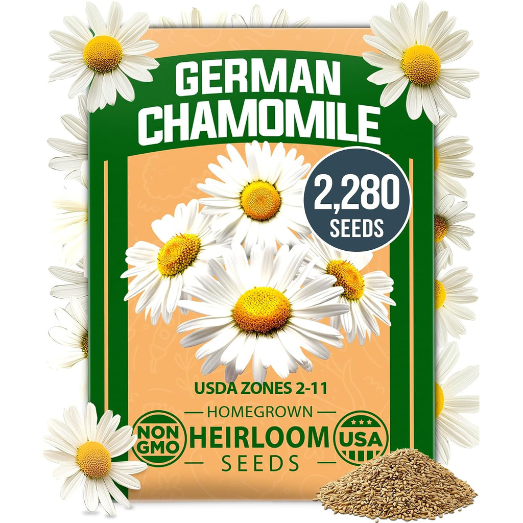 Home Grown German Chamomile Seed Pack 2,280 Non Gmo Heirloom Seeds For Planting For Sustainable Gardens And Soothing Medicinal Herbal Teas (Matricaria Chamomilla)