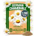 Home Grown German Chamomile Seed Pack 2,280 Non Gmo Heirloom Seeds For Planting For Sustainable Gardens And Soothing Medicinal Herbal Teas (Matricaria Chamomilla)