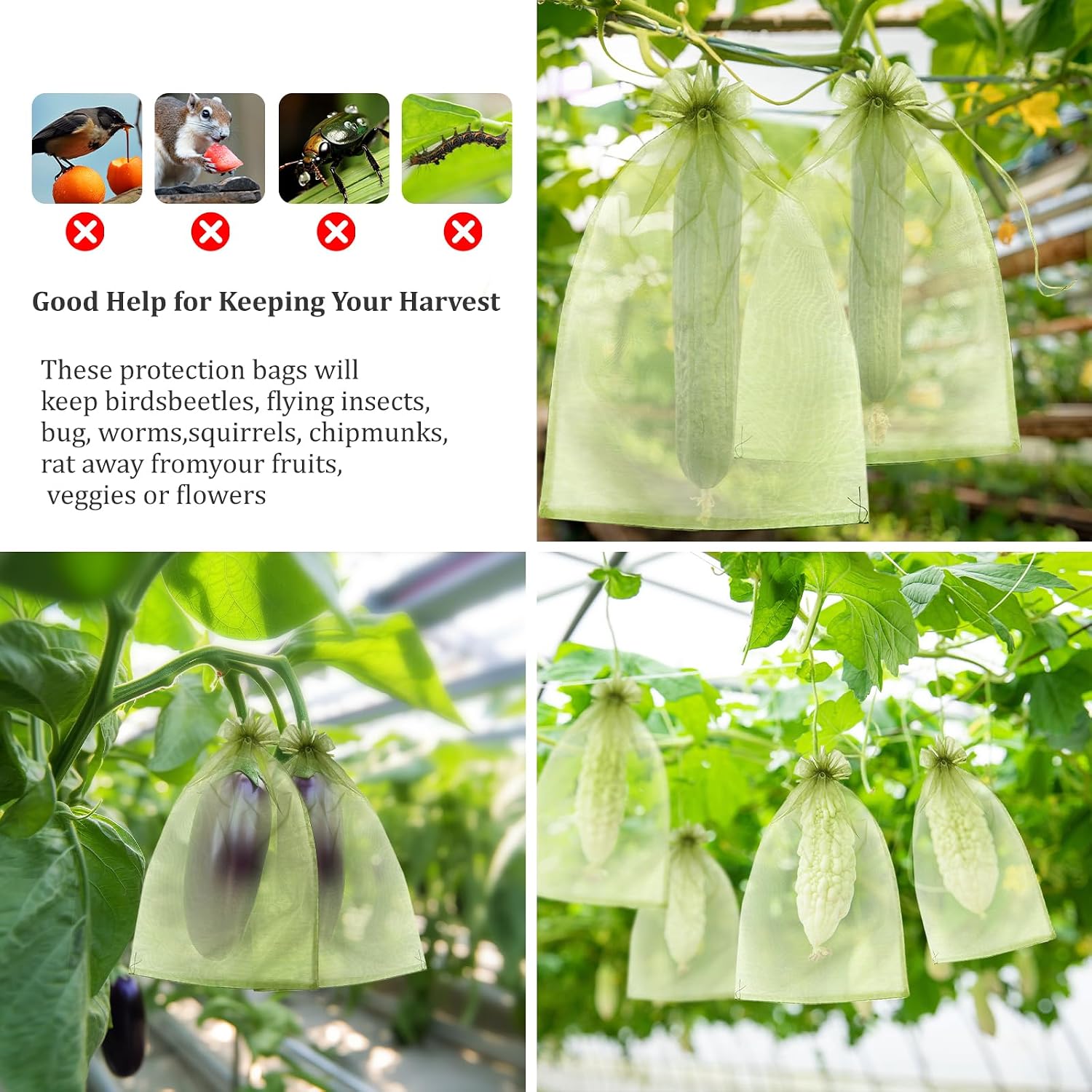 50 Pcs 6X9 Inches Fruit Protection Bags, Fruit Bags For Fruit Trees | Green Netting Fruit Cover Bags Drawstring Mesh Fruit Protectors