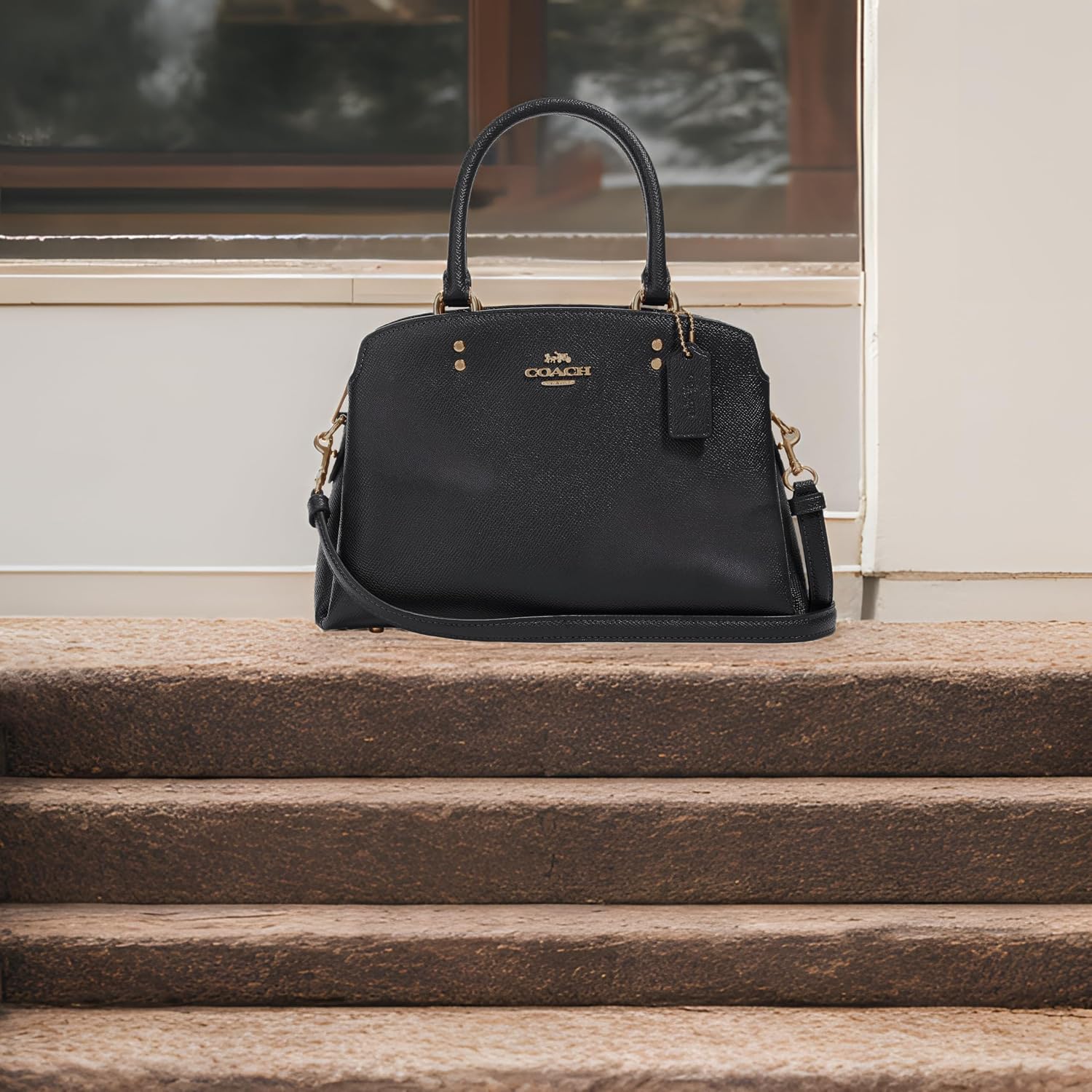 Coach Unisex Mini Lillie Carryall