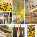 40 Pack Fly Traps Strips Indoor Outdoor, Flies Paper Sticky Hanging With Pins, Fruit Fly Tape Ribbon Roll For Home, Bug & Gnat Catchers For Inside, House Fly Killer For Winged Insect, Mosquito