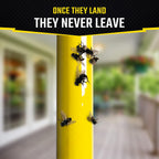 Black Flag Fly Stick, Trap Houseflies And Flying Insects, Pack Of 6