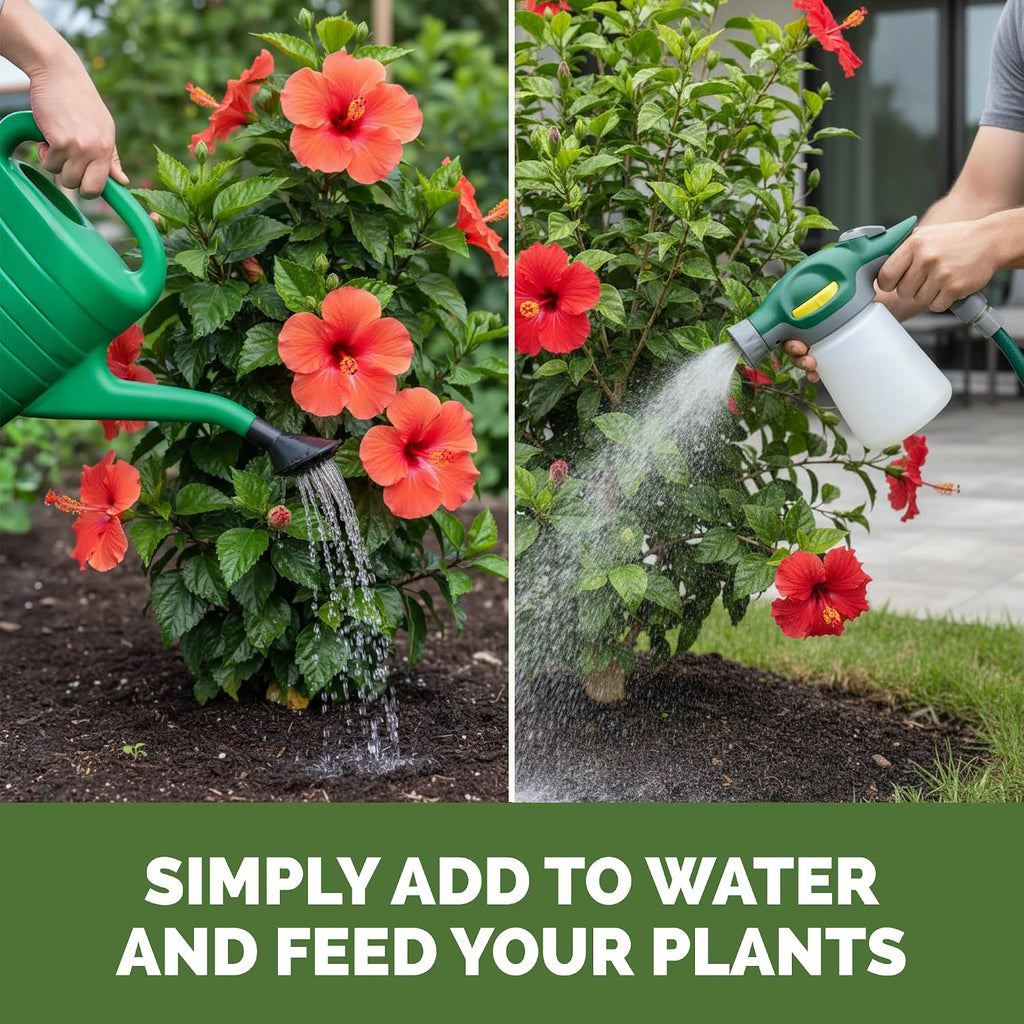 Hibiscus Fertilizer – Liquid Plant Food For More Blooms, Vibrant Color & Healthy Tropical Growth, 8 Oz