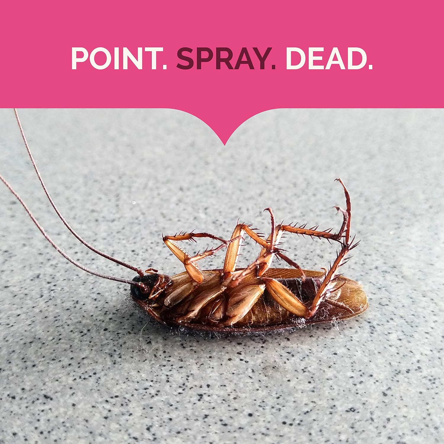 Hot Shot Ant, Roach & Spider Killer, 17.5 Ounces, Kills Roaches And Listed Ants On Contact, Indoor & Outdoor Insecticide Spray, Twin Pack