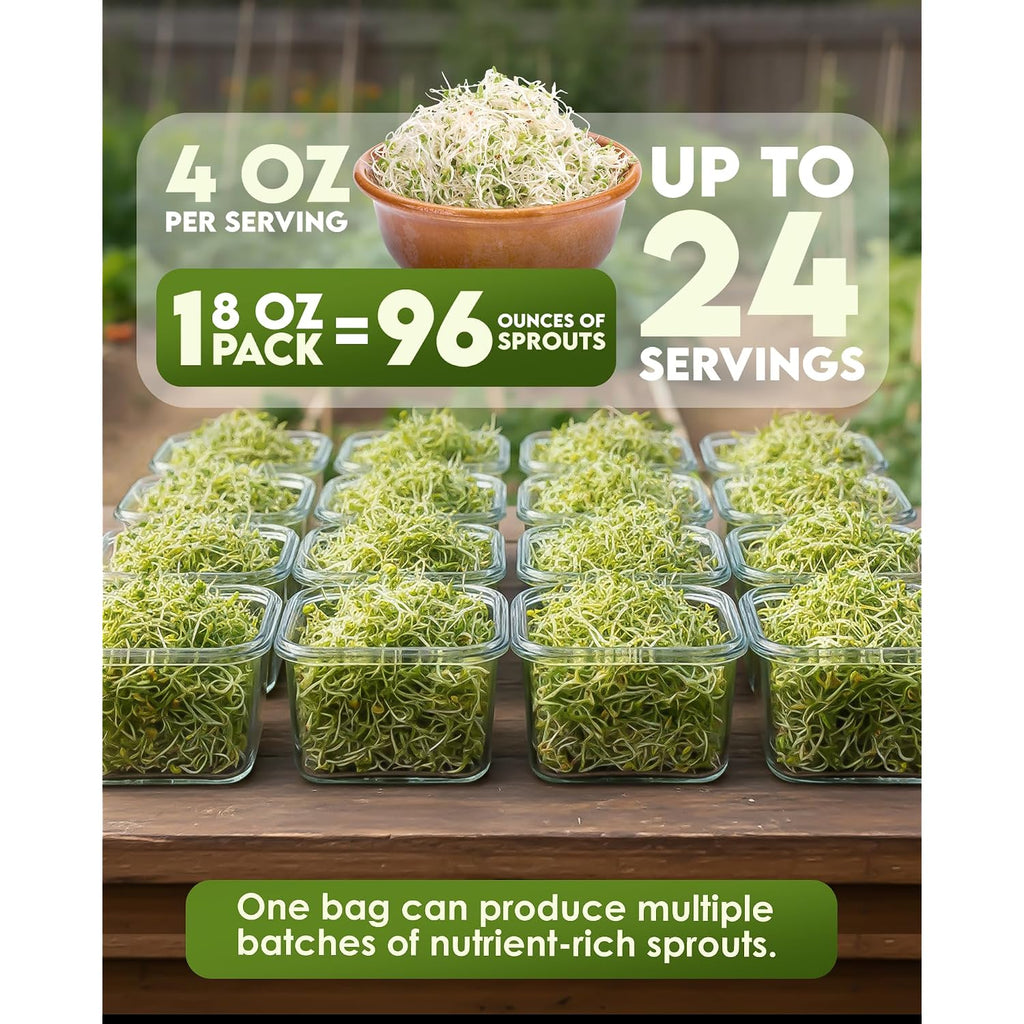 Nature Jim'S Sprout Organic Broccoli Seeds – Non-Gmo, Sprouting Seeds - 8Oz | Rich In Sulforaphane - Fast-Growing Microgreen Plants – Ideal Sprouting Seeds For Fresh & Nutritious Indoor/Outdoor Gardening