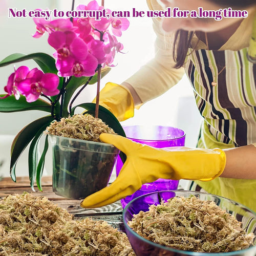 3.5Oz Premium Sphagnum Moss Potting Mix- 4 Qt Natural Succulent Carnivorous Plants Moss Dried, Plant Growing Medium For Orchid Succulent Sarracenia Orchid Gardening Plants Reptiles