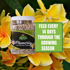 Nelson Plumeria Plant And All Flowering Tropicals Food Ferns Orchids Lilys In Ground Container Patio Grown Granular Fertilizer Nutristar 5-30-5 (2 Lb)