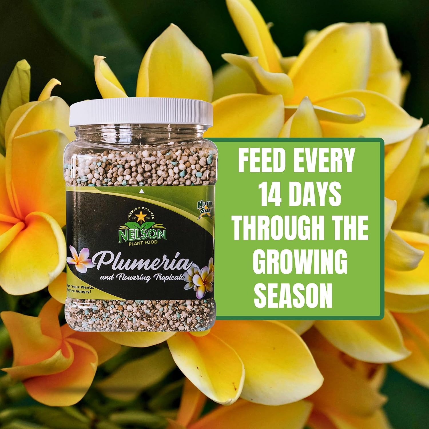 Nelson Plumeria Plant And All Flowering Tropicals Food Ferns Orchids Lilys In Ground Container Patio Grown Granular Fertilizer Nutristar 5-30-5 (2 Lb)