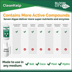 Bloom City Seaweed And Kelp Fertilizer – Liquid Seaweed Supplement For Stronger Roots, Faster Growth & Improved Stress Tolerance, 32 Oz