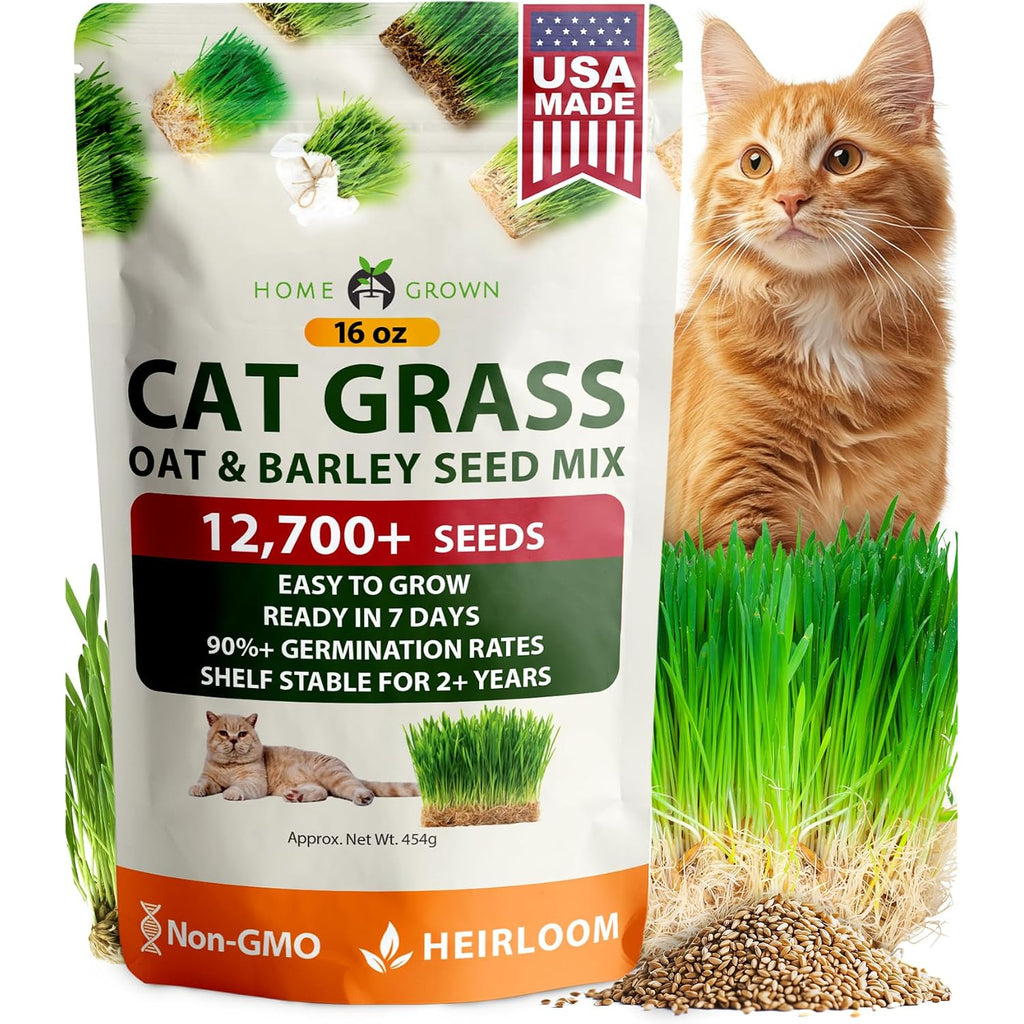 Home Grown Non Gmo 1 Pound Cat Grass 12,700+ Seeds & Kittens Oat & Barley Mix 100% Heirloom, Grow Fresh Kitty For Chewing, Pet Indoor Garden