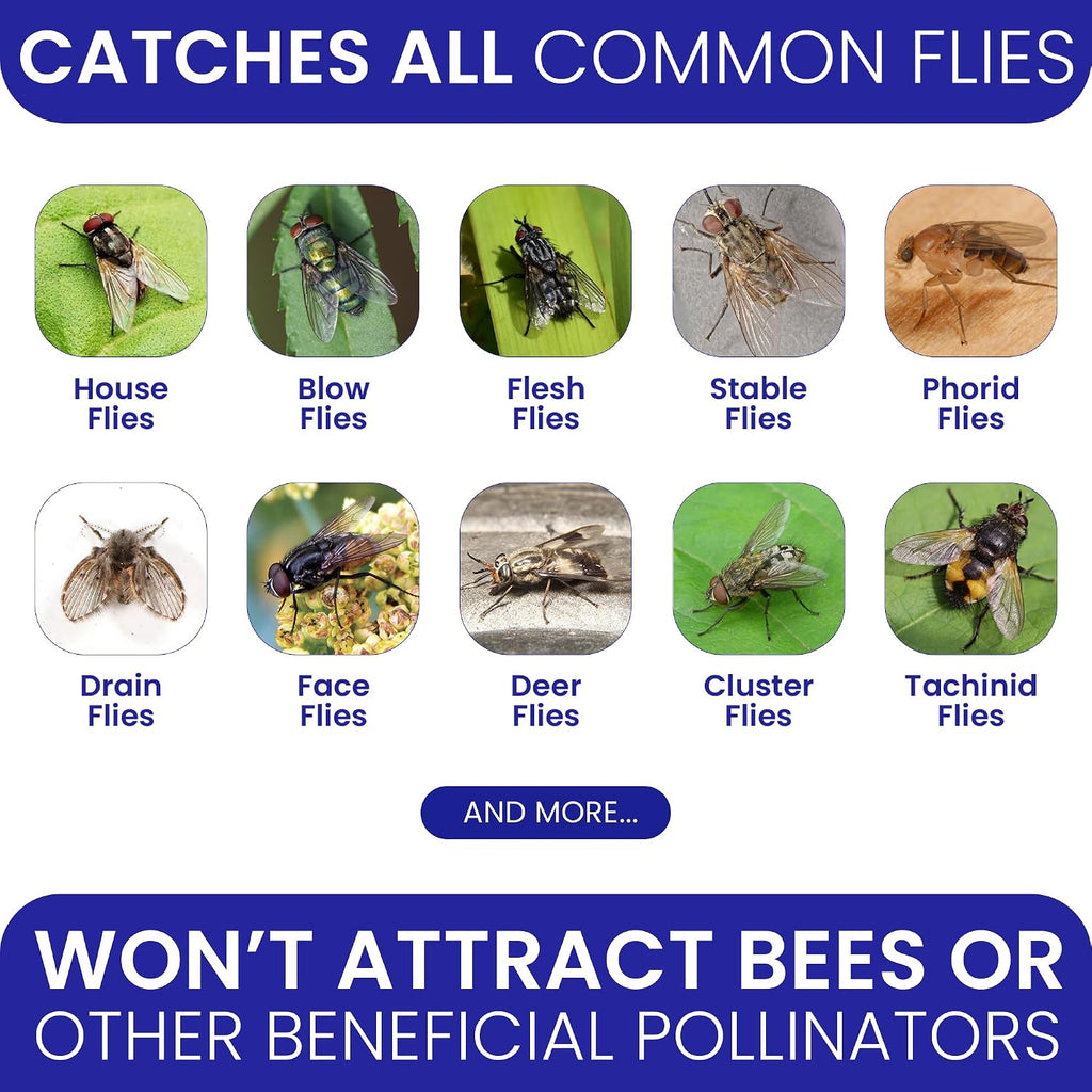 2 Fly Traps Outdoor Fly Trap For Patio With 4 Non-Toxic Dissolvable Bait Refills. Reusable Hanging Bug Catcher Killer For All Filth Flies For Outside Bug Control Yard Ranch. Hanging Chains Included.