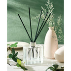 M&Sense Cinnamon Vanilla Reed Diffuser Set - 7.04Oz Scent Diffusers For Home, Natural Essential Oil Diffuser With Sticks, Housewarming Diffuser Gift For Bathroom Bedroom & Office