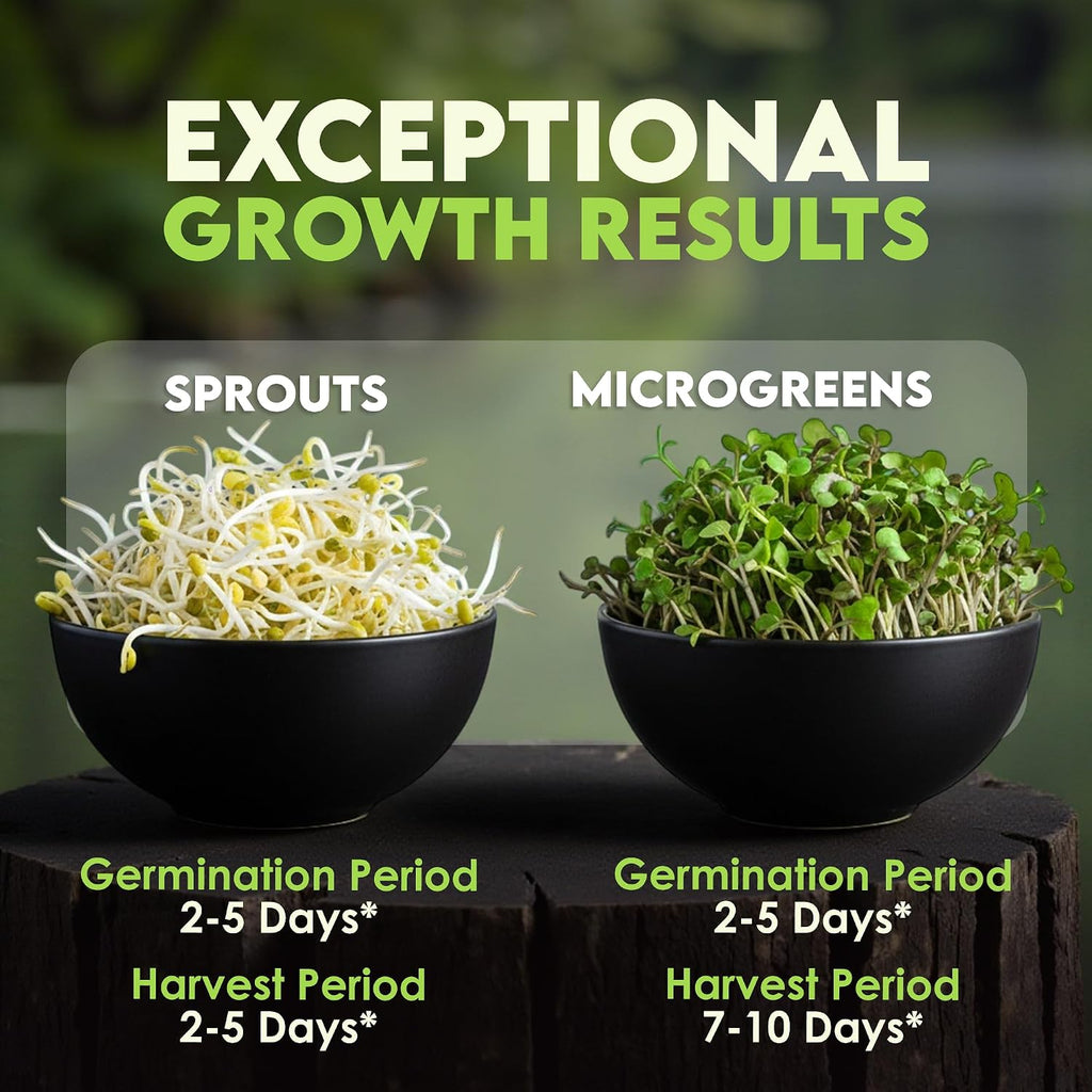 Nature Jim'S Sprouts Organic Salad Mix – Alfalfa, Radish, Clover Seed, 1Lb | Non-Gmo Microgreen Seeds - Fast-Growing Plants - Ideal Sprouting Seeds For Fresh & Nutritious Indoor/Outdoor Home Gardening