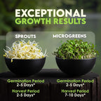Nature Jim'S Sprouts Organic Salad Mix – Alfalfa, Radish, Clover Seed, 1Lb | Non-Gmo Microgreen Seeds - Fast-Growing Plants - Ideal Sprouting Seeds For Fresh & Nutritious Indoor/Outdoor Home Gardening