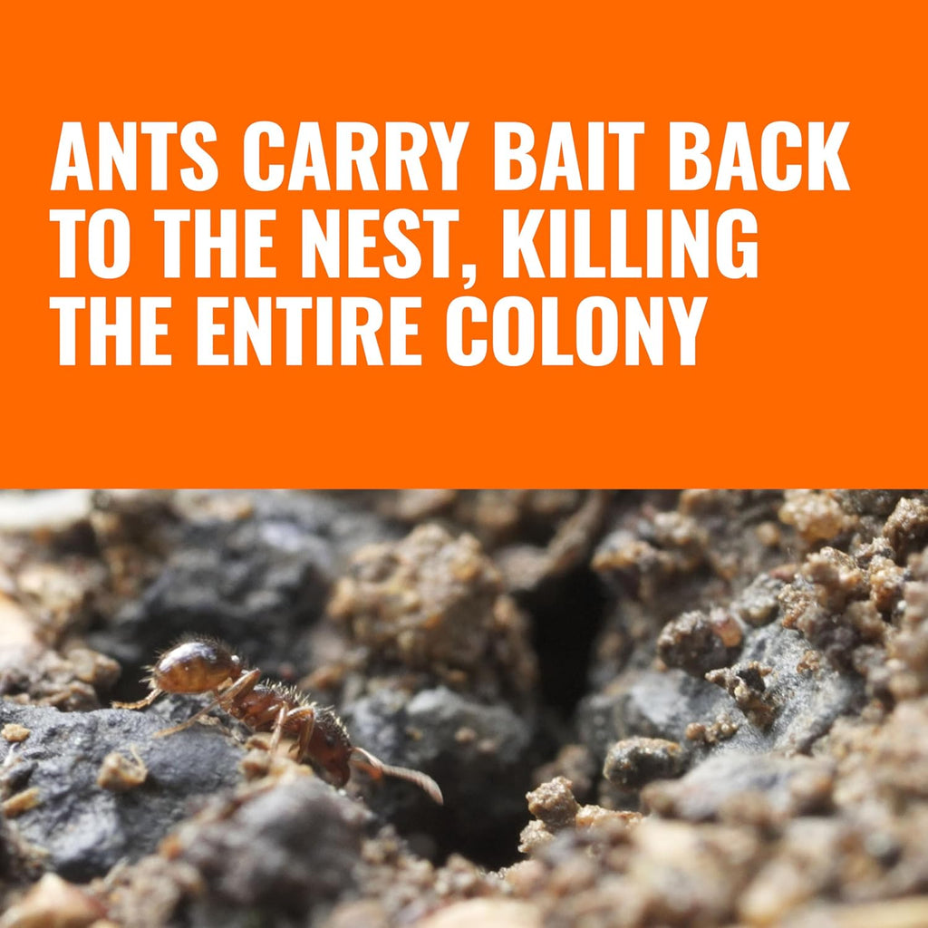 Terro Outdoor Liquid Ant Bait Stakes, 12-Pack, Ready-To-Use Ant Killer Trap | Outdoor Ant Trap For Household Ants Including Acrobat, Crazy, Ghost And Little Black Ants, Weatherproof Ant Colony Killer