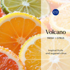 Capri Blue Volcano Reed Diffuser Set, Includes Reeds, Fragrance Oil, And Glass Bottle For Home Décor, Room Fresheners, White (8 Fl Oz)