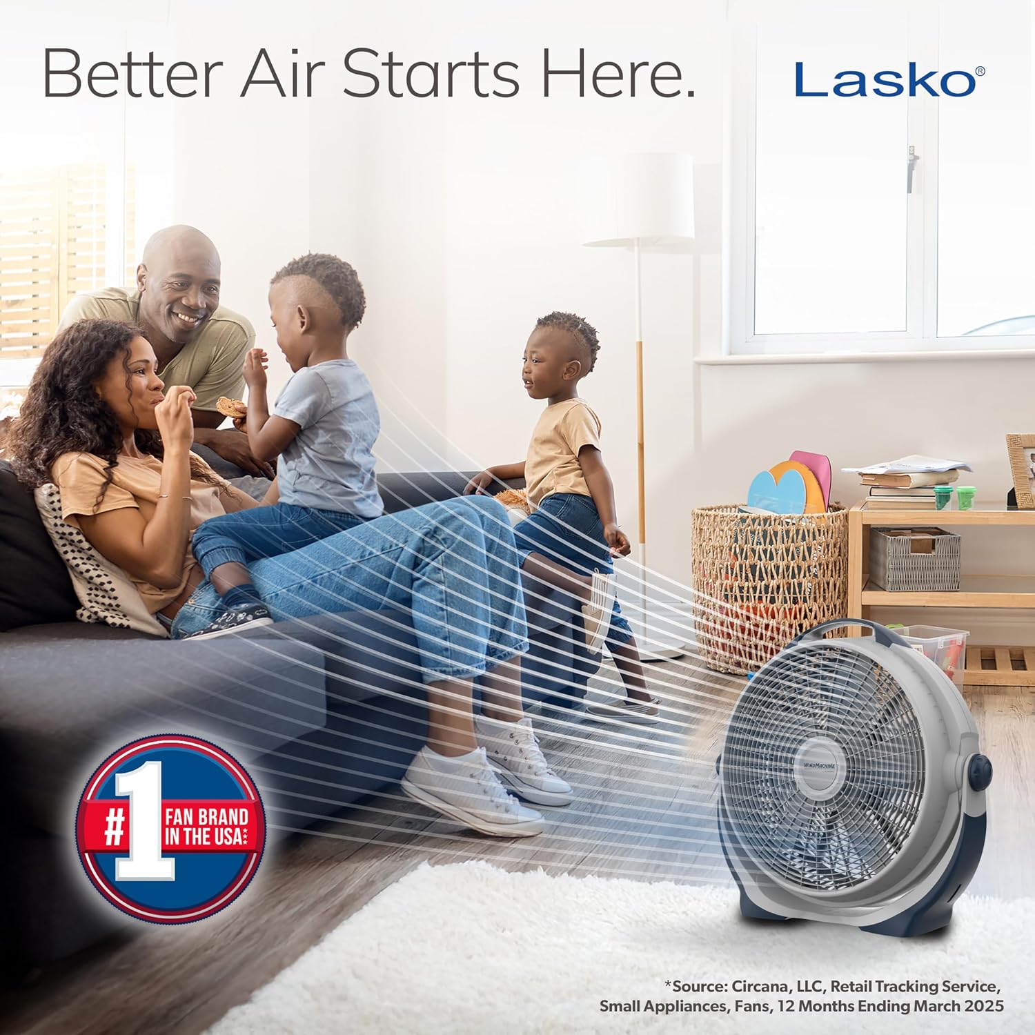 Lasko Wind Machine Fan, Air Circulator Fan With 3 Speeds, 20" Model 3300, Gray