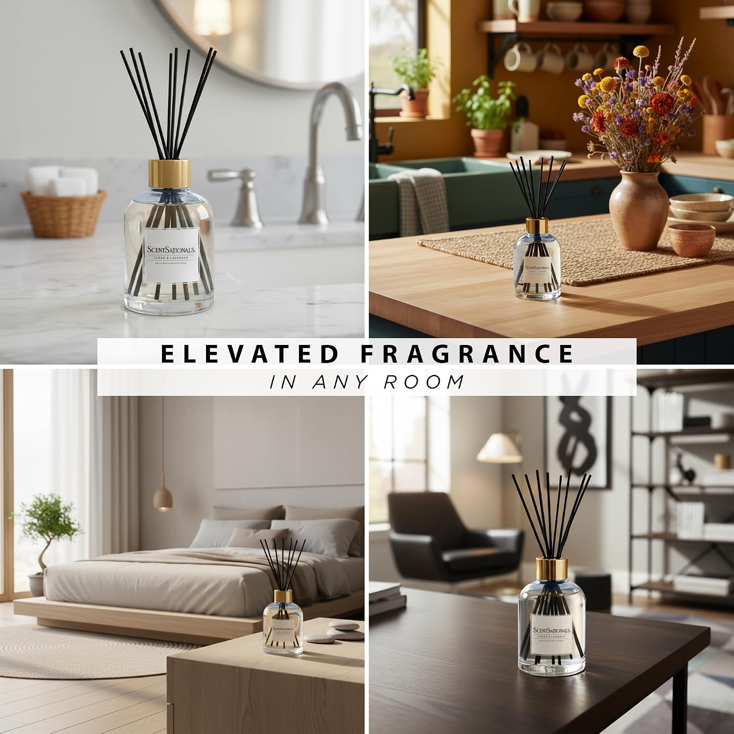 Scentsationals Water-Based Reed Diffuser - Cedar & Lavender - 5 Fl Oz Aromatherapy Reed Diffuser