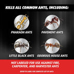 Ortho Orthene Ant Killer Ant Bait, 12 Bait Stations | Indoor Ant Killer, Kills The Queen And The Colony
