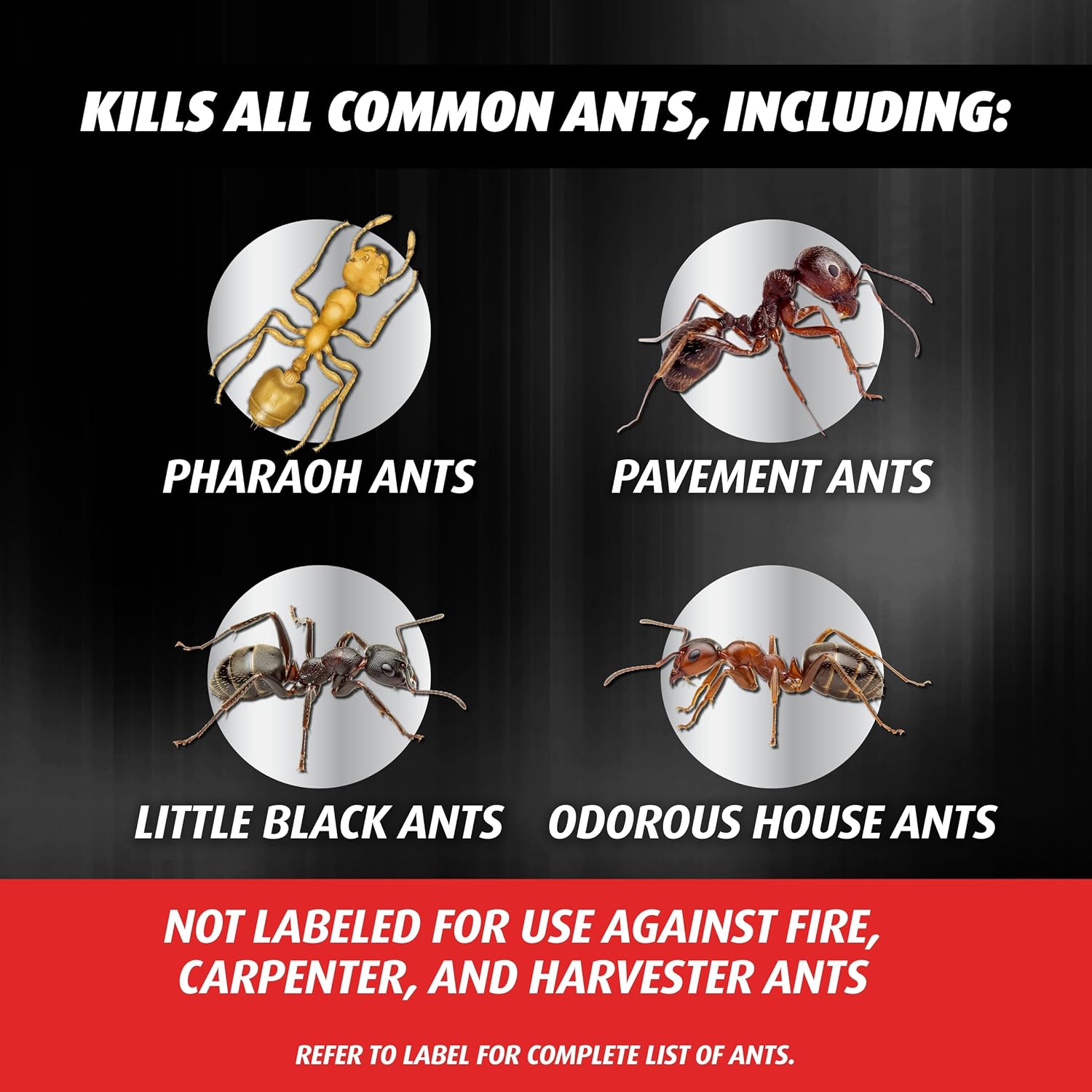 Ortho Orthene Ant Killer Ant Bait, 12 Bait Stations | Indoor Ant Killer, Kills The Queen And The Colony