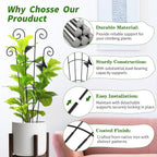 2 Pack 30 Inch Taller Plant Trellis For Potted Climbing Plants Indoor,Expandable Metal Garden Trellis For Climbing Plants,Flowers Vine Ivy, Sturdy Houseplant Support For Potted Plants With Ties
