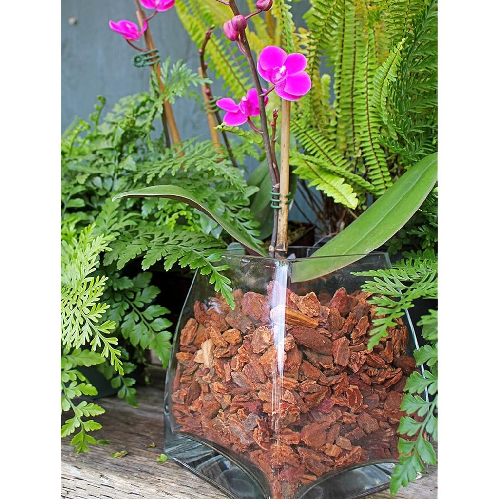 Supermoss (23114) Orchid Potting Bark, Natural, 4 Quarts