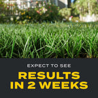 Scotts Turf Builder Triple Action1, 11.31 Lb. | Weed Control, Lawn Weed Killer, Crabgrass Preventer, And Grass Fertilizer For Lawns, Covers 4,000 Sq. Ft.