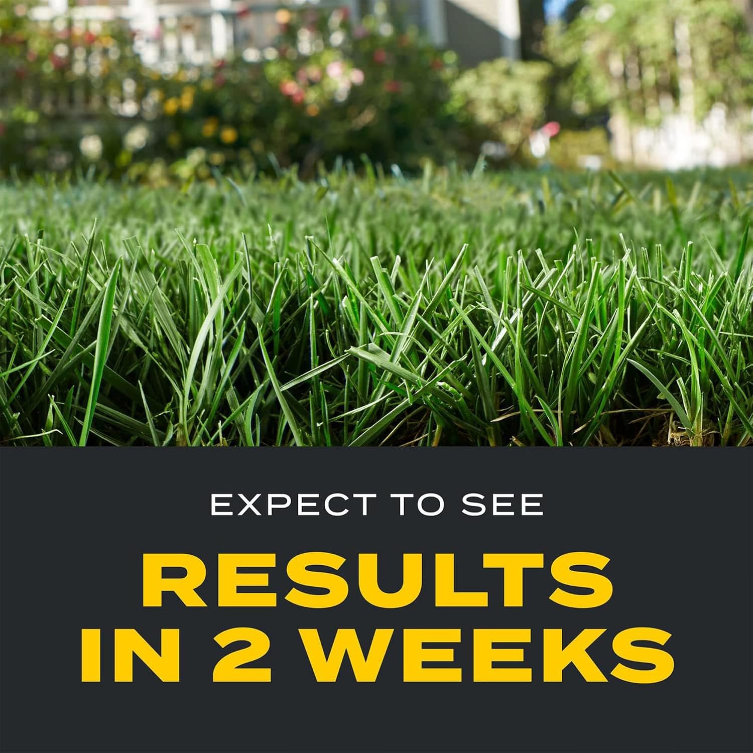 Scotts Turf Builder Triple Action1, 11.31 Lb. | Weed Control, Lawn Weed Killer, Crabgrass Preventer, And Grass Fertilizer For Lawns, Covers 4,000 Sq. Ft.