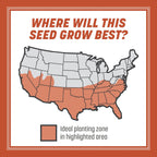 Pennington Bermudagrass Grass Seeds For Lawn, 5 Lb