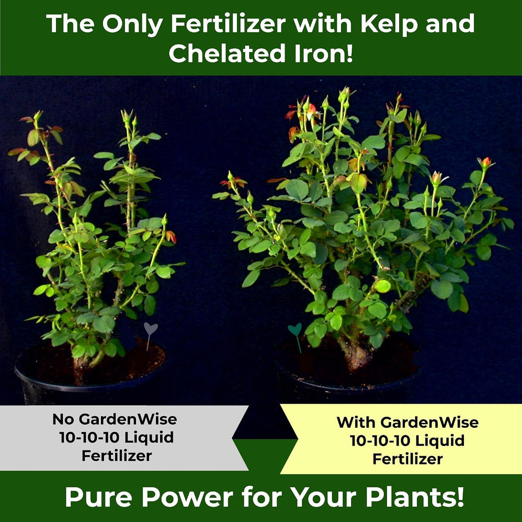 Gardenwise 10-10-10 All Purpose Plant Food - Liquid Fertilizer With Seaweed Kelp & Iron - Indoor & Outdoor Plant Food, Vegetables, Flowers, Lawn & Garden 1X8Oz