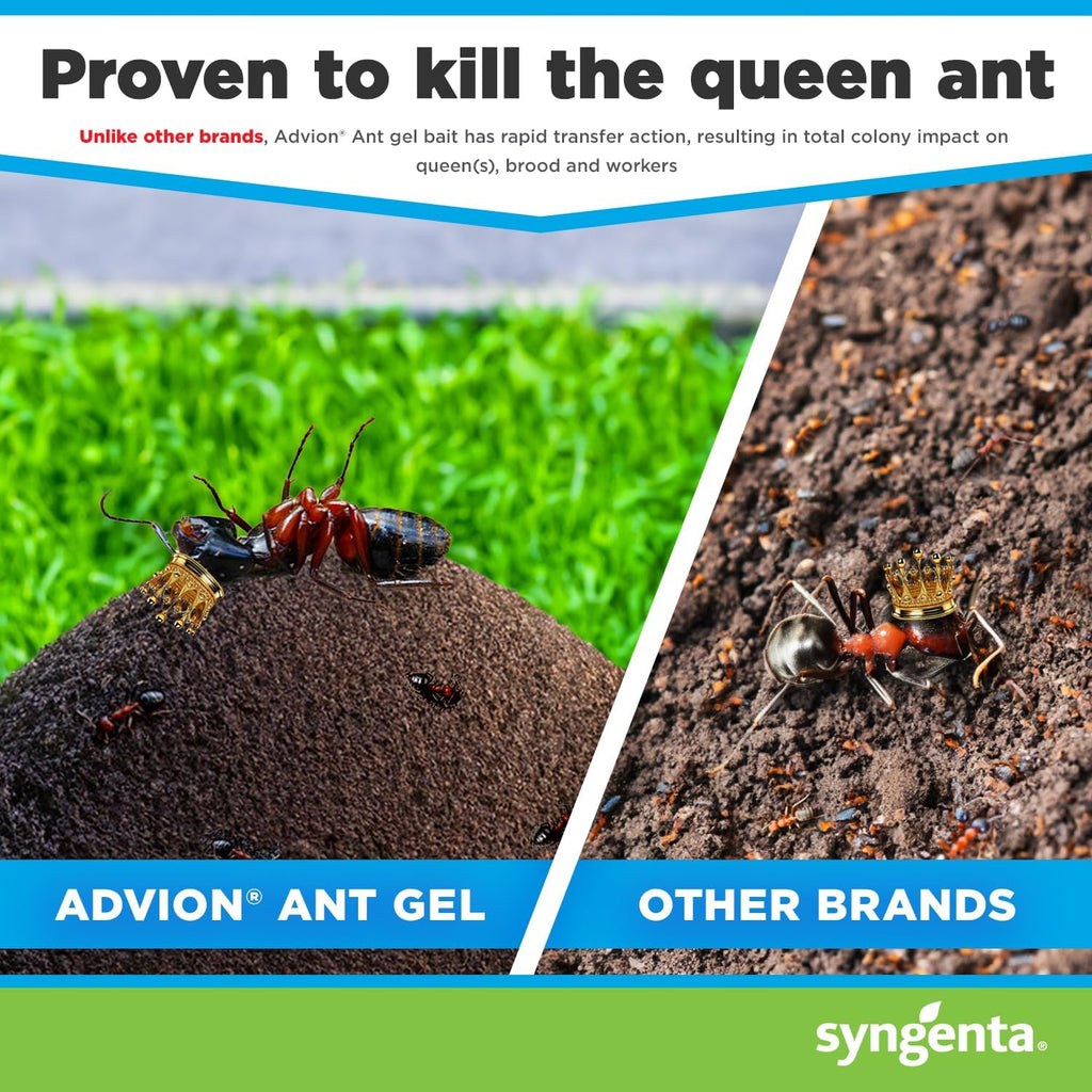Syngenta Advion Ant Gel Station Insecticide, Ready-To-Use Gel Bait With The Active Ingredient Indoxacarb, Ant Bait For Use Indoor And Outdoor, 1 Box (3 Total Stations)