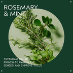 Aveda Rosemary Mint Weightless Conditioner | Lightweight Daily Conditioner | Adds Body & Shine| For Normal To Oily Hair, Fine To Medium Hair | Invigorating Aroma | 97% Naturally Derived*