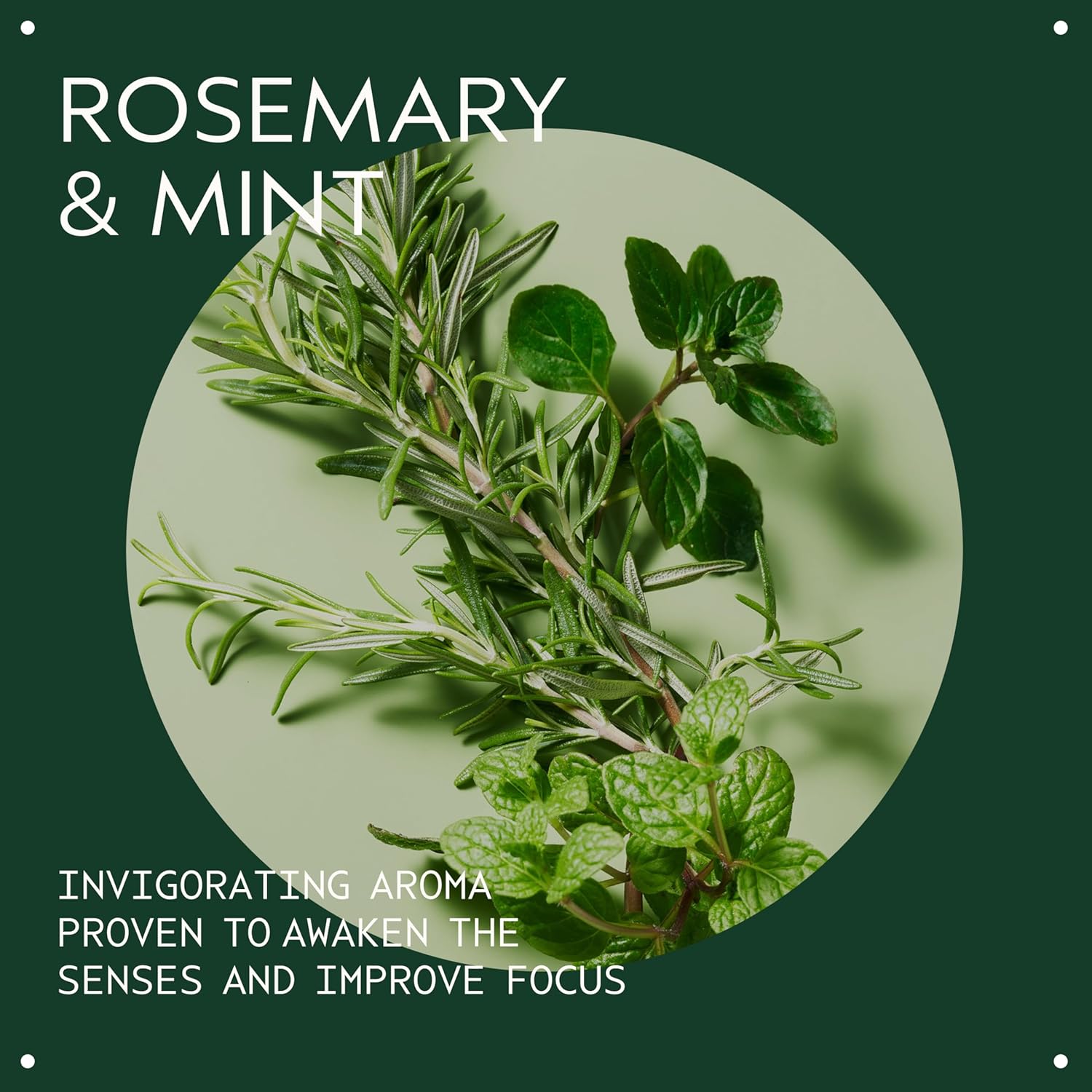 Aveda Rosemary Mint Purifying Shampoo | Clarifying Shampoo | Gently Removes Buildup, Adds Shine | For Normal to Oily Hair, Fine to Medium Hair | Invigorating Aroma| 97% Naturally Derived*