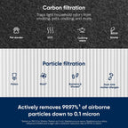Blueair Blue Pure 411+ Genuine Replacement Filter, Particle And Activated Carbon