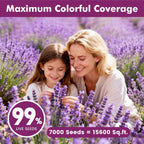 Lavender Seeds For Planting, English Lavender Seeds Indoor & Outdoor, 7000+ Heirloom Seeds, High Germination, Easy To Grow, Fragrant Flowers, Culinary & Crafts (0.7 Oz)